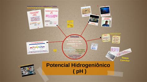potencial hidrogeniônico-4